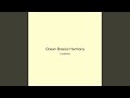 Ocean Breeze Harmony
