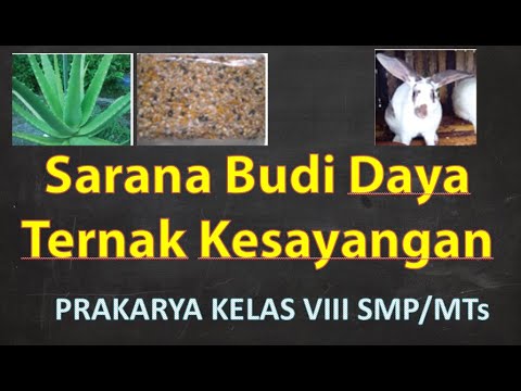 Materi Prakarya Kelas VIII SMP/MTs Sarana Budidaya Ternak Kesayangan ...