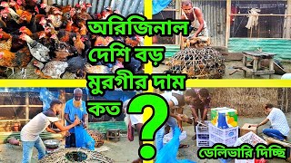 অরিজিনাল দেশি বড় মুরগীর দাম কত কোথায় পাবেন।original deshi murgir dam koto kothay paben.yasin agro