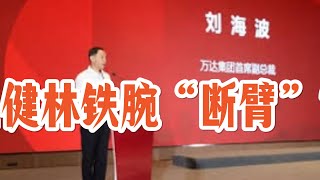 万达副总裁被带走，王健林铁腕“断臂”？