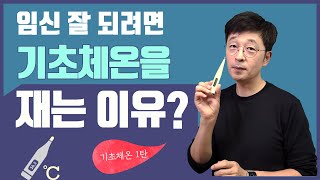 임신 잘 되려면 왜 기초체온을 재봐야 하는가?