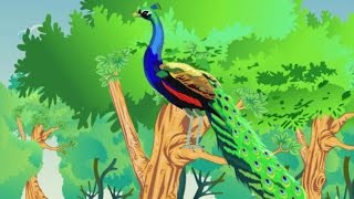 The Peacock and The Crow - मोर और कौवा - Animation Moral Stories For Kids In Hindi