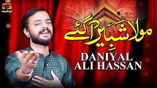 Mola Shabir Aa Gay | Daniyal Ali Hassan | TP Manqabat