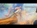 Crazy action ❗the best ironwood sawing process | stihl 070