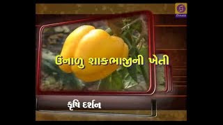 KRISHI DARSHAN | Unalu Shakbhaji ni kheti