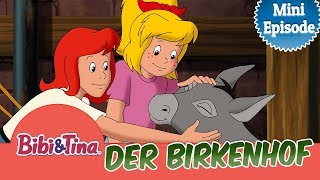 Bibi & Tina - Der Birkenhof | MINI EPISODE