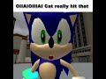 OIIAIOIIIAI Cat got moves #sonic #memes