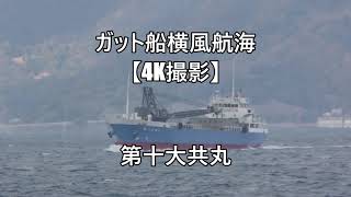 ガット船横風航海【4K撮影】第十大共丸