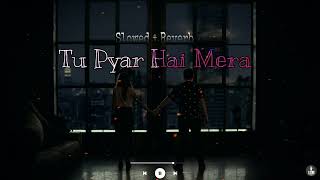 Tu Pyar Hai Mera - Yasser Desai ( Slowed + Reverb) | Badnaam | Mohit Sehgal | we r lofi here
