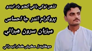 Tadhen tokhe baghi ghano yad endo|sindhi poetry | haleem baghi | listen to learn | RJ Sarwan Heerani