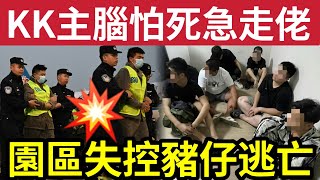 日本傳媒爆「KK園區主腦」已走佬！大量外國人逃離！泰國計劃「新一輪剿滅！」詐騙轉型！中國人「南韓偷骨灰」勒索過千萬！27/2內地猛料「看中國新聞快訊」