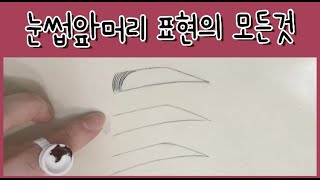 교육 I 반영구 엠보기법 눈썹앞머리 표현은 다양하게!