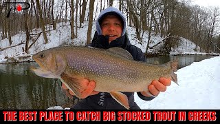 The Best Place To Catch BIG STOCKED TROUT In Creeks