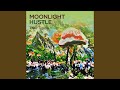 Moonlight Hustle