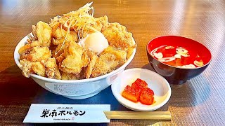 【岐阜デカ盛り】メガ盛り(500g)唐揚げ丼ごはん大盛りネギ温泉卵トッピング/炭火焼肉巣南ホルモン【岐阜県瑞穂市森】