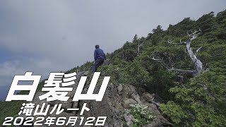 【登山】白髪山　滝山ルート　2022年6月12日（高知県）【登山　高知】