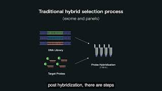 Trinity Targeted Sequencing Workflow