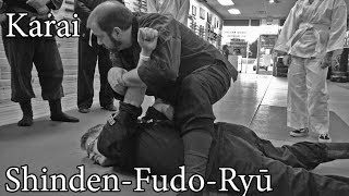 Shinden Fudo Ryu - Karai Mist Thunder