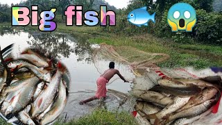 Big fish 🐟😱//গ্রামের শৈলী মাছ ধরা//Village style fishing #fishing #bengali_vlog!@Desicookingvlog12