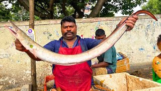 KASIMEDU 🔥 SPEED SELVAM | EEL FISH CUTTING VIDEO | IN KASIMEDU | FF CUTTING 🔪