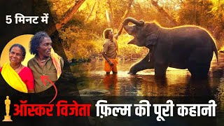 The Elephant Whisperers full movie explained in hindi | movie summary | Oscar winning Indian film |