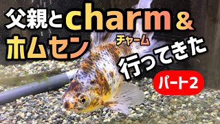 父親とcharm \u0026ホムセン行ってきたパート2の回　金魚大好き悠tube