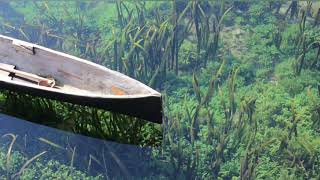 Larryfisherboy - Moon River