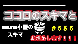 【DIY】サウナ　No５＆６　サウナ小屋をつくる　～素人が本を片手にサウナ小屋を作ってみた～