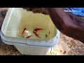 പിടിച്ച് വയ്യാതായി swordtail fish hunting midhula farm hut guppy guppy breeding malayalam