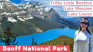 Banff National Park: o que fazer, como chegar [GUIA]