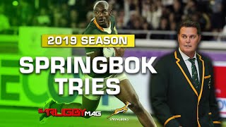 2019 Springbok Tries