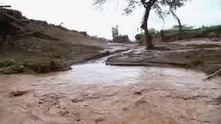 Uprooted trees, damaged houses after flash floods in Kenya following heavy rains