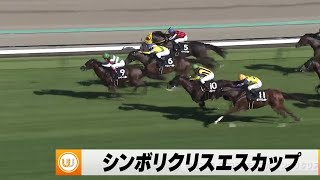 【2023】シンボリクリスエスカップ 中山競馬場10R ｜ウイニング競馬 2023年9月18日（月）