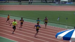 第６９回江戸川区区民総合体育祭春季陸上競技大会　小学男子１００ｍ　渉