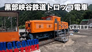 Check this out before you go! Kurobe Gorge Railway's trolley train, where the autumn leaves are in f