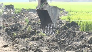 排水溝工程無預警開挖 農地作物遭破壞 20190429 公視中晝新聞