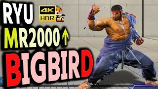 SF6: Bigbird  Ryu MR2000 over  VS Akuma | sf6 4K Street Fighter 6 Season2