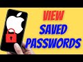 How to View Saved Passwords on iPhone or iPad (iOS)