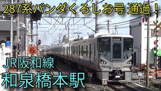 【JR阪和線】225系 287系特急くろしおなど 和泉橋本駅発着\u0026通過集