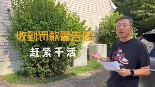 收到罚款警告，赶紧自己修剪灌木