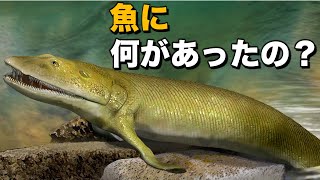 昔々、魚が地面を這いずり回っていた頃のお話！（なぜ陸地に上がってきたのか？）