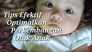 Tips Efektif Optimalkan Perkembangan Otak Anak'