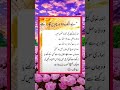 بے شک وہ چہرے ط hindiurdusong urdumusic unfrezzmyaccount urdumusicvideo urdumehfil urdu answe