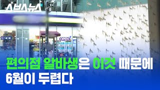 가평, 양평, 남양주에선 이미 유명할 대로 유명한 '팅커벨' / 스브스뉴스