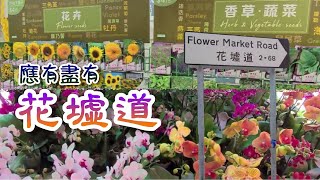 [輕輕鬆鬆，仲夏遊蹤] 花墟道 | 花卉 | 植物 | 盆栽 | 園藝工具 | Flower Market Road | Flowers | Plants | Gardening Tools