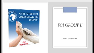 Особенности судейства десяти групп пород FCI: Группа II | «Ответственное собаководство онлайн»