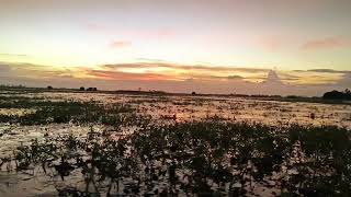 Arial Beel (Munshiganj)