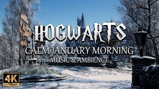 A Calm January Morning at Hogwarts | 4K Harry Potter Music \u0026 Ambience