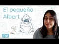 El pequeño Albert | Mof