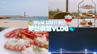 [효니월드] 갑자기 떠난 부산여행 브이로그 🐳 | travel vlog BUSAN 2017